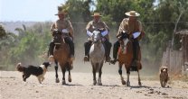 El Criadero Tamaya abrió sus puertas al Anuario de los Criadores 2019