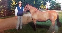 Alfredo Mechsner y su pasión puesta en el Criadero Chaqueihua Alfredo Mechsner y su pasión puesta en el Criadero Chaqueihua