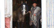 El Criadero On Turro abrió sus puertas al Anuario 2014 de la Federación de Criadores