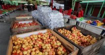 La entrega de alimentos del campo de