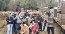 Un gran cierre: Se ayudó con alimento para caballos de cocheros de victorias en Viña del Mar Un gran cierre: Se ayudó con alimento para caballos de cocheros de victorias en Viña del Mar