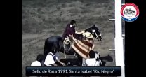 Historias del Champion de Chile, capítulo XV: 1991 Historias del Champion de Chile, capítulo XV: 1991