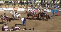 Peleco ganó el Rodeo Para Criadores de Collipulli disputado en noviembre