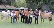 Criadero Los Silos, la pasión de los hermanos Larraín Criadero Los Silos, la pasión de los hermanos Larraín
