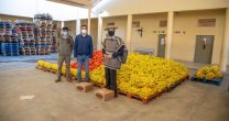 Asociación de Rodeo Melipilla realiza importantes aportes solidarios a la comuna Asociación de Rodeo Melipilla realiza importantes aportes solidarios a la comuna