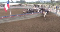 Recuerdos de la temporada: Las Callanas se quedó con el Rodeo para Criadores de Petorca