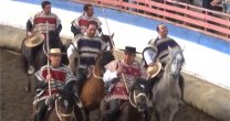 Revisión de rodeos: Peleco fue primero y segundo en el Interasociaciones de Arauco