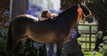 Anuario 2018: La visita a Santa Ana de Melipilla Lindo Chico tras ganar la Expo Nacional Anuario 2018: La visita a Santa Ana de Melipilla Lindo Chico tras ganar la Expo Nacional