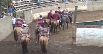 Repaso de rodeos: Astaburuaga y Toledo concretaron gran victoria en el Interasociaciones de Pelluhue-Campomar