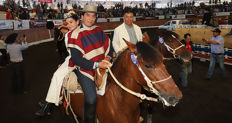 Loma Suave y el trabajo en pandemia: Fue bueno para los caballos nuevos y de competencia