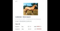 Marcos Villalón y Raimundo Valdivia: La App marca un antes y un después en información sobre caballos Marcos Villalón y Raimundo Valdivia: La App marca un antes y un después en información sobre caballos