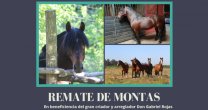 Remate de montas en beneficio a Gabriel Rojas cierra este martes Remate de montas en beneficio a Gabriel Rojas cierra este martes