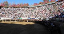 Presidentes de Zonas valoraron aplazamiento del Consejo: Sirve para analizar el escenario en profundidad Presidentes de Zonas valoraron aplazamiento del Consejo: Sirve para analizar el escenario en profundidad