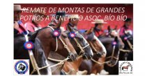 Criadores de Bío Bío publicaron interesante catálogo para Remate de Montas Solidario Criadores de Bío Bío publicaron interesante catálogo para Remate de Montas Solidario