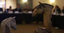 Circular de la Federación de Criadores sobre su Consejo Superior 2020 Circular de la Federación de Criadores sobre su Consejo Superior 2020