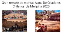 Asociación de Criadores de Melipilla publicó atractivo catálogo de su Remate de Montas Solidario Asociación de Criadores de Melipilla publicó atractivo catálogo de su Remate de Montas Solidario
