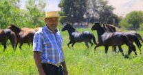 Alliyay: La crianza del caballo chileno en el Valle de Copiapó