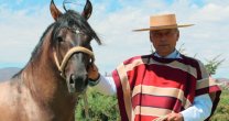 Criadero Vega Norte, la apuesta de Carlos Valencia Criadero Vega Norte, la apuesta de Carlos Valencia