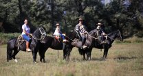 Centro del Caballo Emiliano Ruiz retomó sus clases de rodeo y entrenamiento de jinetes Centro del Caballo Emiliano Ruiz retomó sus clases de rodeo y entrenamiento de jinetes