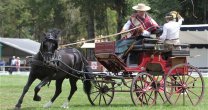 José Miguel Guzmán y Lo Campino en pandemia: Toda la actividad de caballos sigue funcionando José Miguel Guzmán y Lo Campino en pandemia: Toda la actividad de caballos sigue funcionando