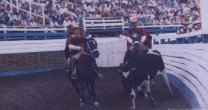 Criadero Santa Isabel anunció remate para la primera semana de octubre Criadero Santa Isabel anunció remate para la primera semana de octubre