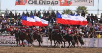 Las deslumbrantes presentaciones de la Escuadra Ecuestre Palmas de Peñaflor en la Semana de la Chilenidad Las deslumbrantes presentaciones de la Escuadra Ecuestre Palmas de Peñaflor en la Semana de la Chilenidad