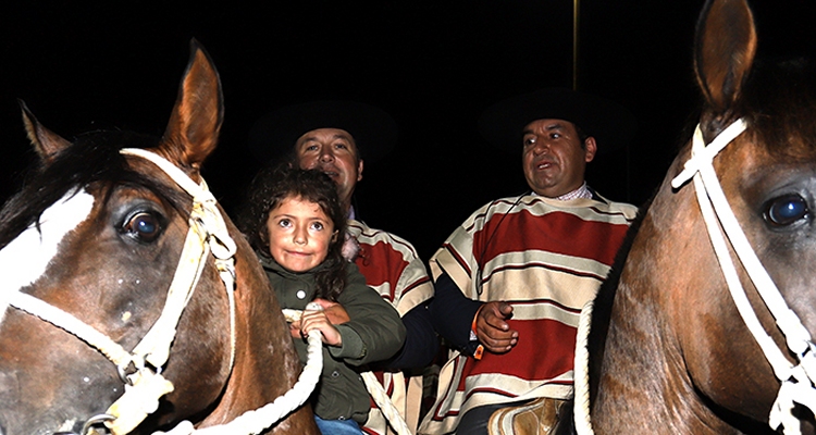 José Antonio Bozo: Nos cundió harto la pega con caballos nuevos durante el receso