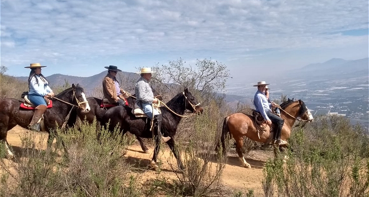 Consejo de la Federación de Criadores aprobó Reglamento para Cabalgatas