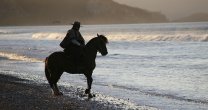 El mundo del caballo está de duelo: Falleció Víctor Vega Luengo El mundo del caballo está de duelo: Falleció Víctor Vega Luengo