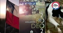 Historias del Champion de Chile, capítulo XXVI: 2002 Historias del Champion de Chile, capítulo XXVI: 2002