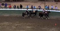 Vial y Meza ganaron con sólido puntaje el rodeo de Valdivia de Paine en octubre de 2019