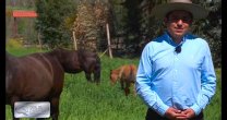 Criadores de Choapa y Coquimbo contaron su experiencia con Banco de Potros del Criadero Santa Ana Criadores de Choapa y Coquimbo contaron su experiencia con Banco de Potros del Criadero Santa Ana