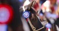 Mesa de trabajo de la Federación del Rodeo con el Mindep tiene primera cita Mesa de trabajo de la Federación del Rodeo con el Mindep tiene primera cita