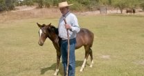 Edmundo Molina, el amor por el caballo sin limitaciones Edmundo Molina, el amor por el caballo sin limitaciones