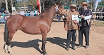 El aprendizaje de Ismael Carreño en Criadero Pilastras de Alcones El aprendizaje de Ismael Carreño en Criadero Pilastras de Alcones