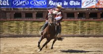 Guillermo Barra sigue firme: Para la Rienda tengo una yegua que se ha visto bien Guillermo Barra sigue firme: Para la Rienda tengo una yegua que se ha visto bien