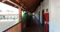 Federación de Criadores ya trabaja de forma presencial en sus oficinas Federación de Criadores ya trabaja de forma presencial en sus oficinas