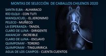 ¡A participar! Se cierra remate de montas en apoyo al programa ¡A participar! Se cierra remate de montas en apoyo al programa