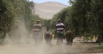 El Anuario 2016 llegó al extremo norte de Chile para conocer la crianza en Arica