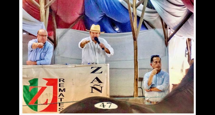 Fernando Zañartu Rozas y Cía. Ltda. presentó nutrida agenda de remates
