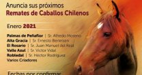 Alberto Ponce y Cía. Ltda. tendrá atractivos remates en enero Alberto Ponce y Cía. Ltda. tendrá atractivos remates en enero