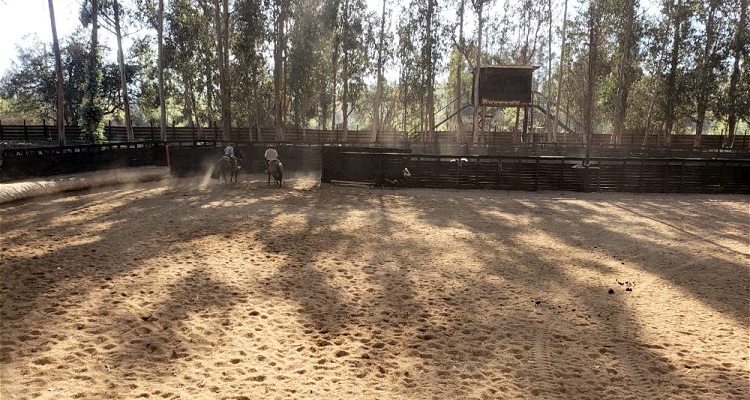 Asociación Colchagua y Repechaje en Tinguiririca: 