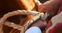 Gerente general de la Federación de Rodeo abordó detalles del formato del Repechaje Centro Norte Gerente general de la Federación de Rodeo abordó detalles del formato del Repechaje Centro Norte