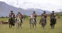 Criadero San Esteban tuvo contundente desempeño en el retorno de los rodeos en Los Andes