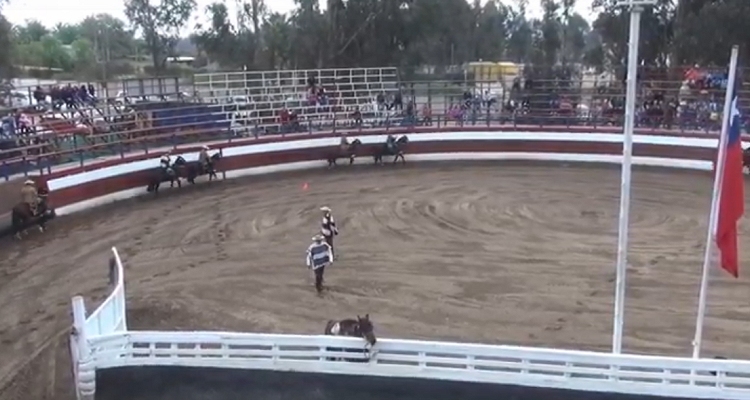 La Medialuna Alto del Yugo recibe el reinicio de los Rodeos en Quillota