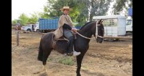 Criadero Don Reinerio se ilusiona con participar en la Exposición Nacional Especial Criadero Don Reinerio se ilusiona con participar en la Exposición Nacional Especial