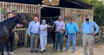 Un grupo de parlamentarios conoció del caballo chileno en el Criadero San Jorge El Victorioso Un grupo de parlamentarios conoció del caballo chileno en el Criadero San Jorge El Victorioso