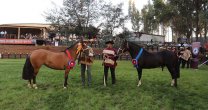 Proceso para realizar Exposición Nacional Especial va bien encaminado Proceso para realizar Exposición Nacional Especial va bien encaminado