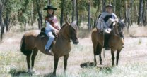 Anuario 2014: Carlos Renner, toda una vida dedicada a los caballos Anuario 2014: Carlos Renner, toda una vida dedicada a los caballos