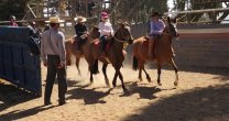 Fernando Moreno: Quiero fomentar lo que son las bases del arreglo del caballo Fernando Moreno: Quiero fomentar lo que son las bases del arreglo del caballo